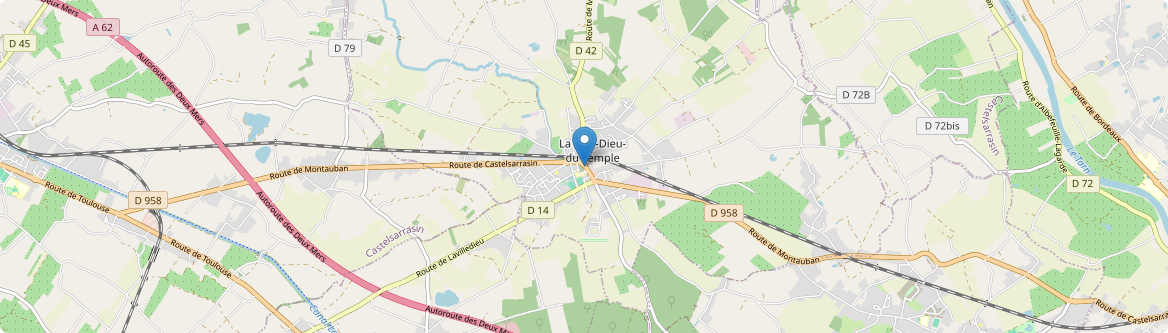 Ville-Dieu-du-Temple - Carte
