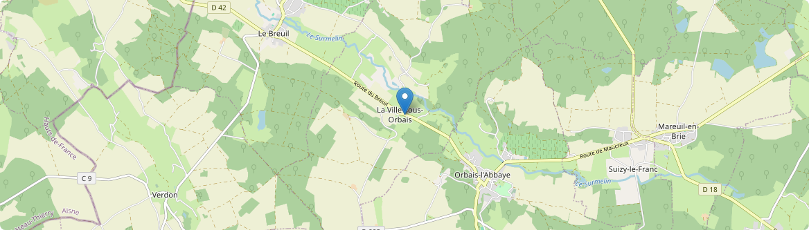 Ville-sous-Orbais - Carte