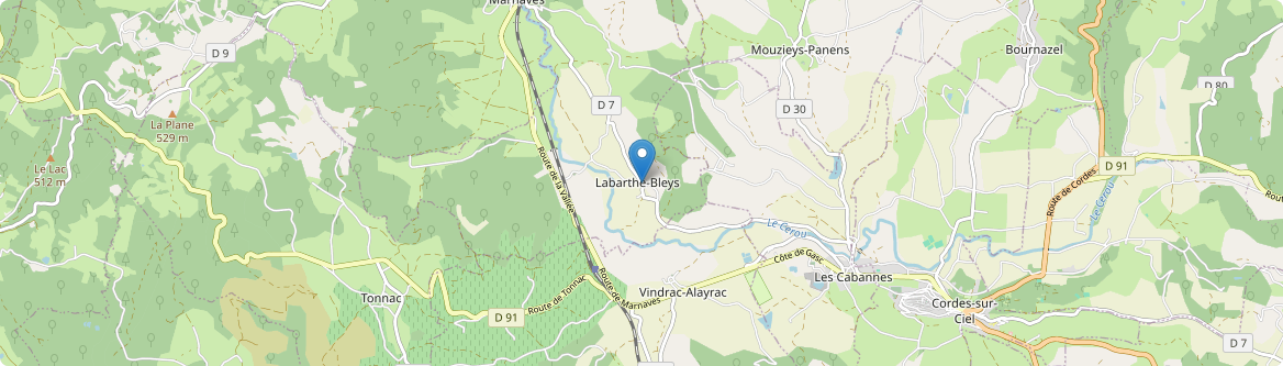 Labarthe-Bleys - Carte