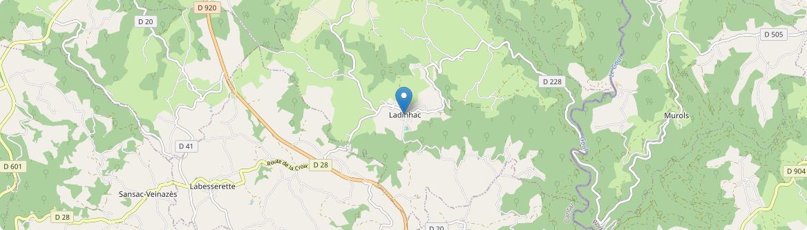 Ladinhac - Carte