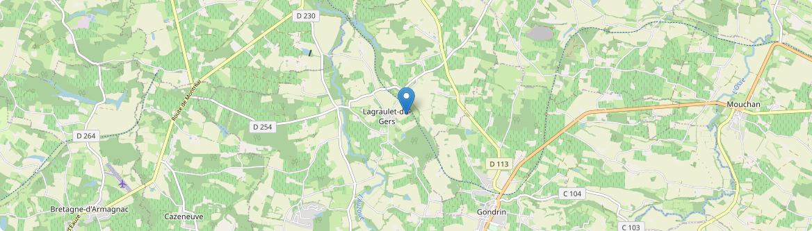 Lagraulet-du-Gers - Carte