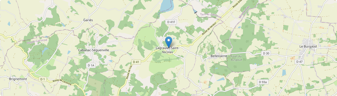 Lagraulet-Saint-Nicolas - Carte