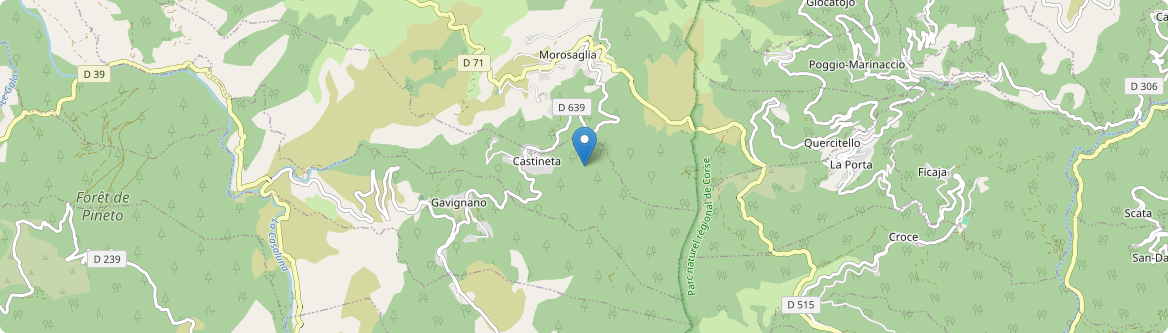 Lama - Carte