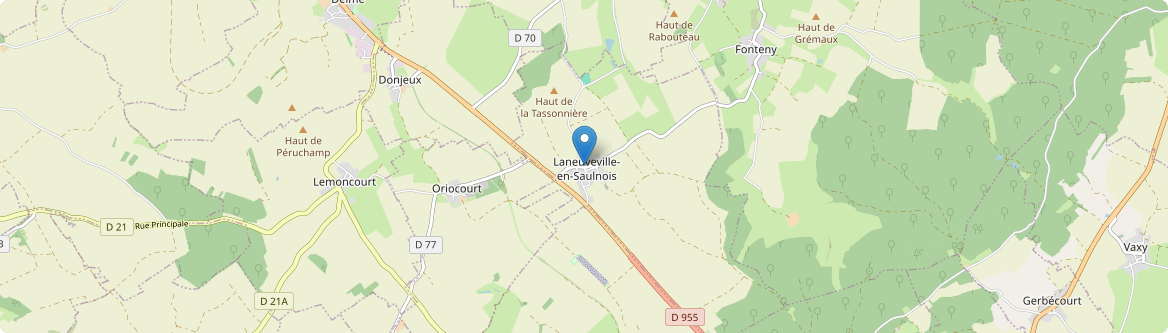 Laneuveville-en-Saulnois - Carte