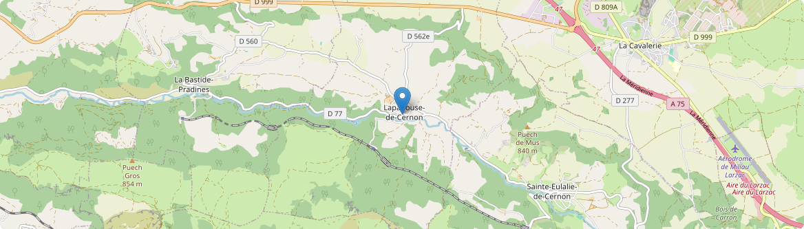 Lapanouse-de-Cernon - Carte