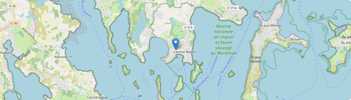 Larmor-Baden - Carte