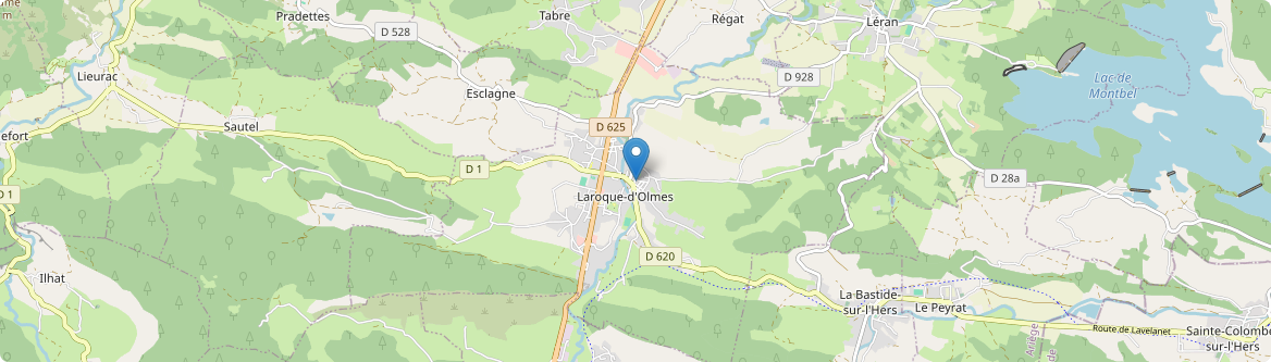 Laroque-d'Olmes - Carte