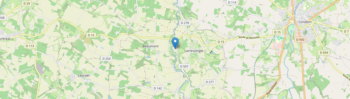 Larressingle - Carte