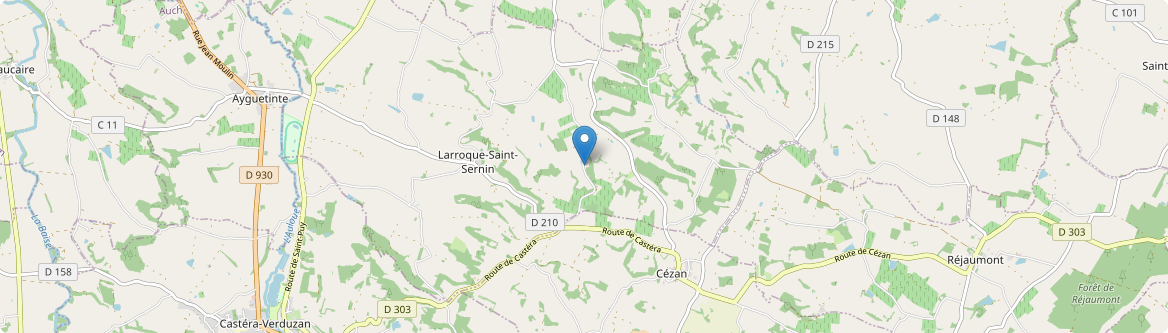 Larroque-Saint-Sernin - Carte