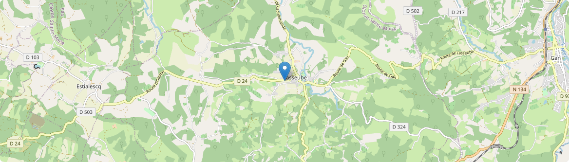 Lasseube - Carte