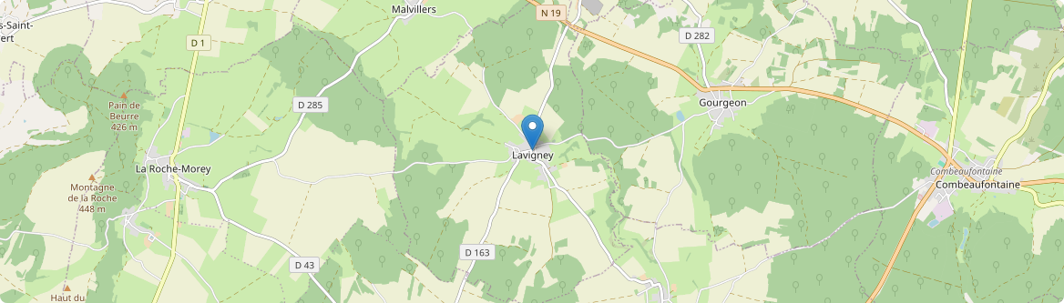 Lavigney - Carte