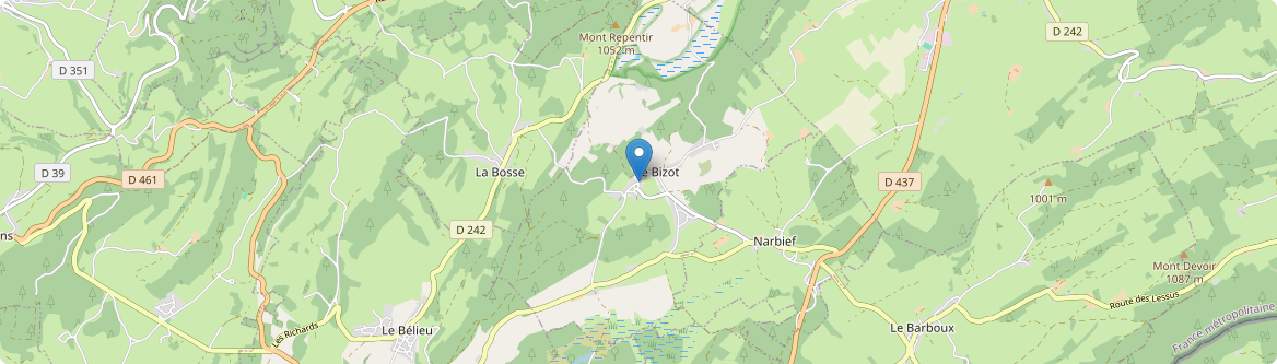 Bizot - Carte