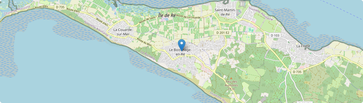 Bois-Plage-en-Ré - Carte