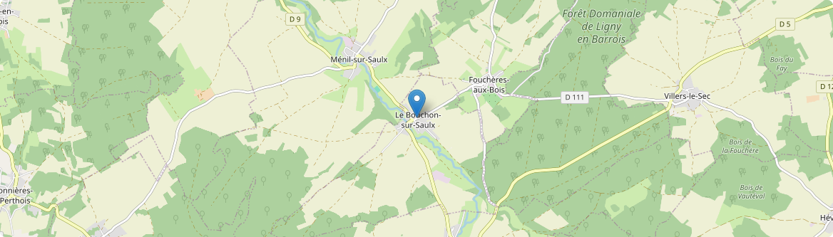 Bouchon-sur-Saulx - Carte