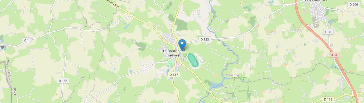 Bourgneuf-la-Forêt - Carte