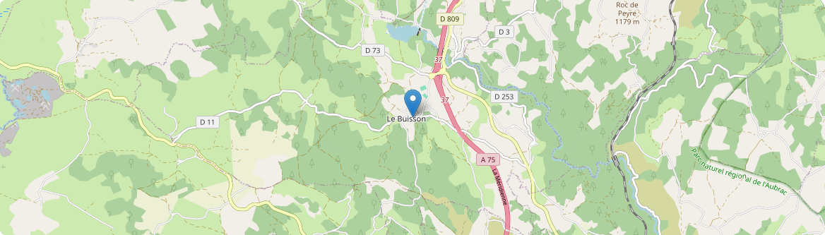 Buisson - Carte