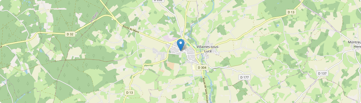 Grand-Lucé - Carte