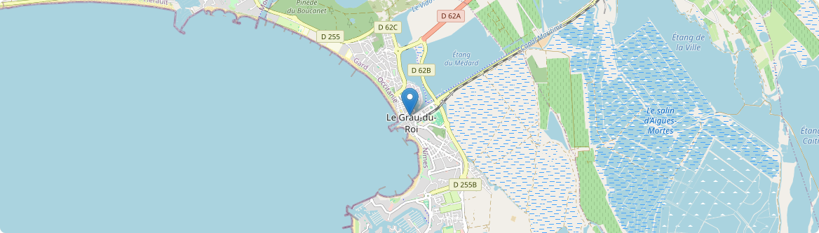 Grau-du-Roi - Carte