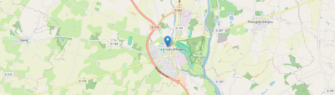 Lion-d'Angers - Carte