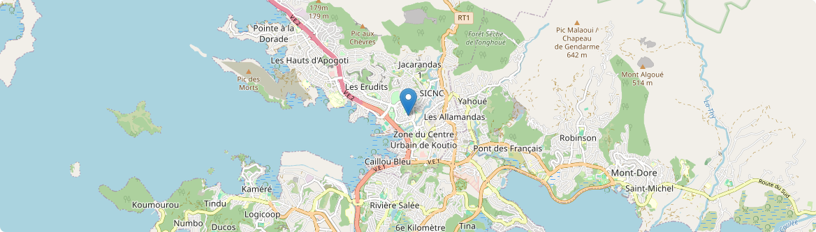 Mont-Dore - Carte