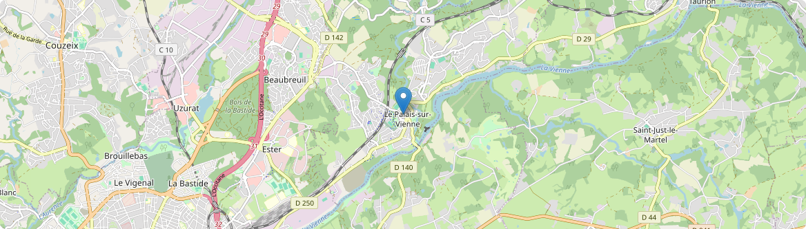 Palais-sur-Vienne - Carte
