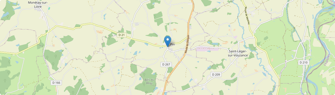 Pin - Carte