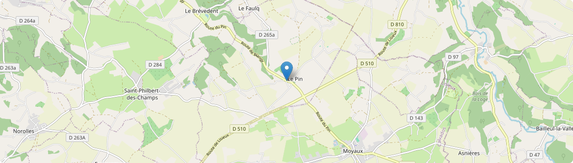 Pin - Carte