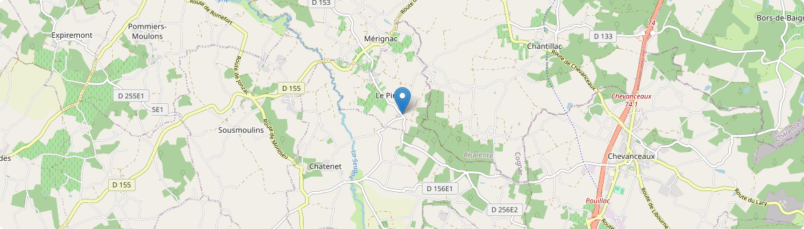 Pin - Carte