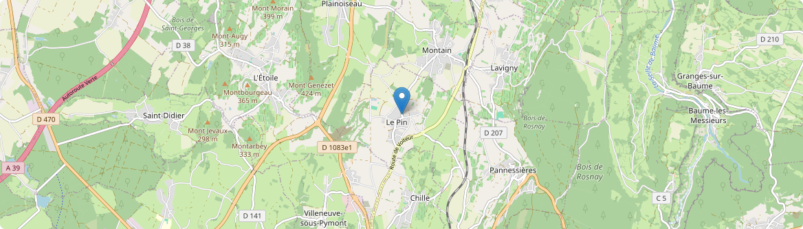 Pin - Carte