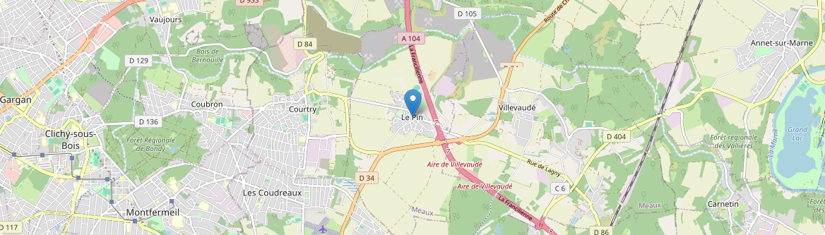 Pin - Carte
