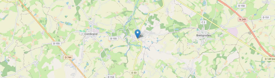 Pin - Carte