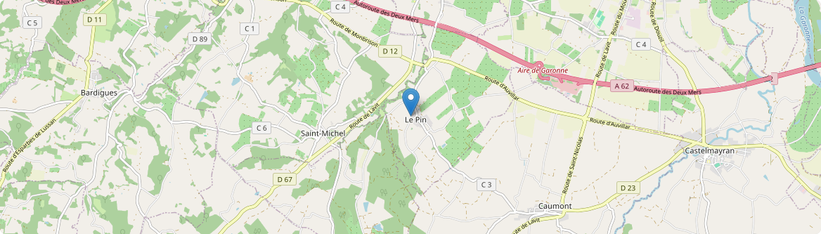 Pin - Carte