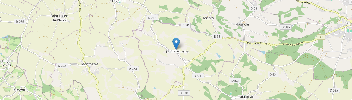Pin-Murelet - Carte