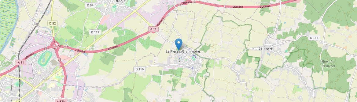 Plessis-Grammoire - Carte