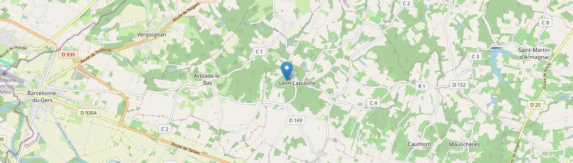 Lelin-Lapujolle - Carte