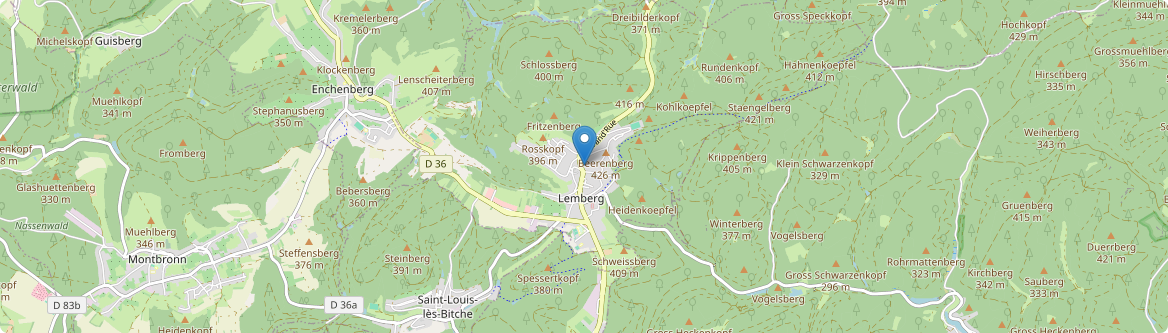Lemberg - Carte