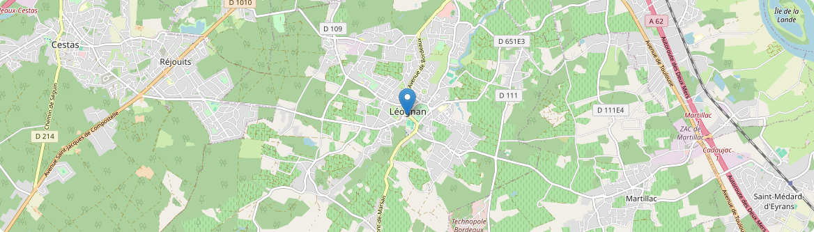 Léognan - Carte