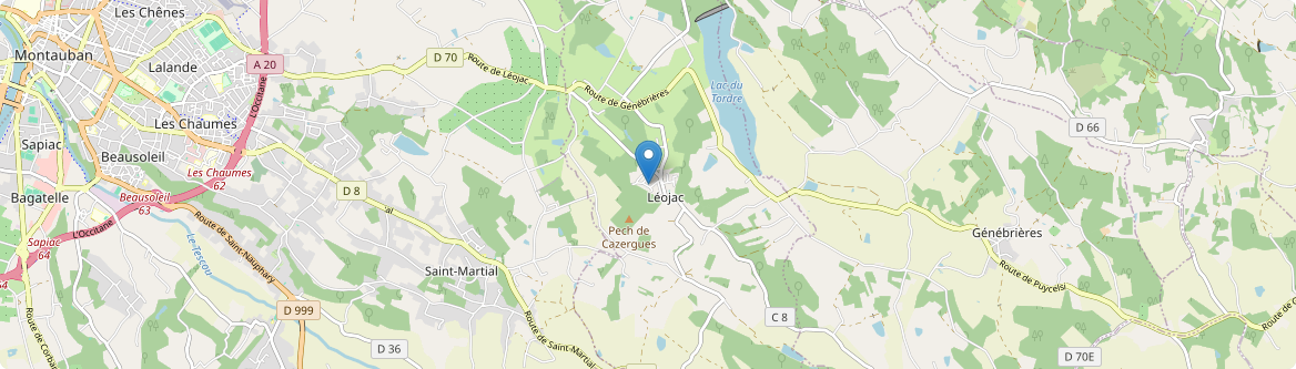 Léojac - Carte