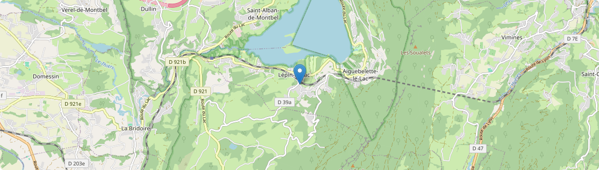 Lépin-le-Lac - Carte