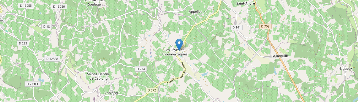 Lèves-et-Thoumeyragues - Carte