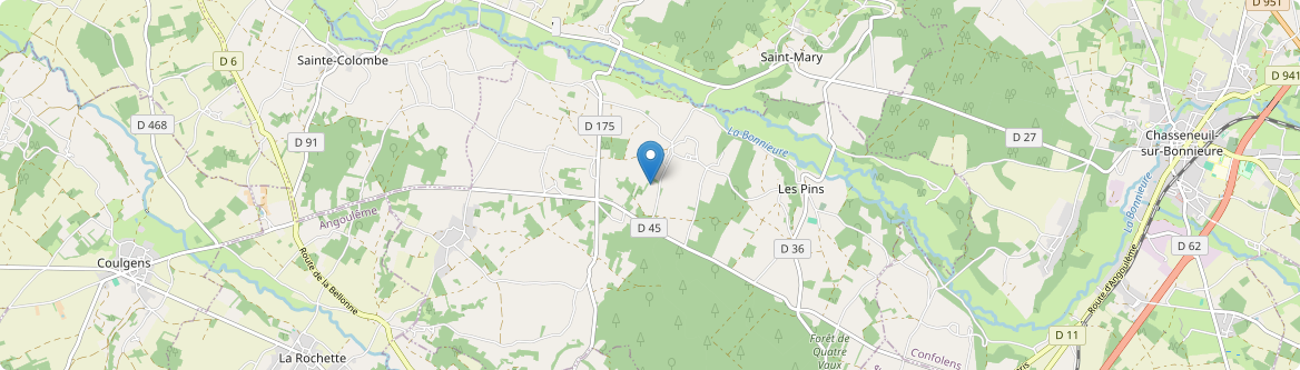 Pins - Carte
