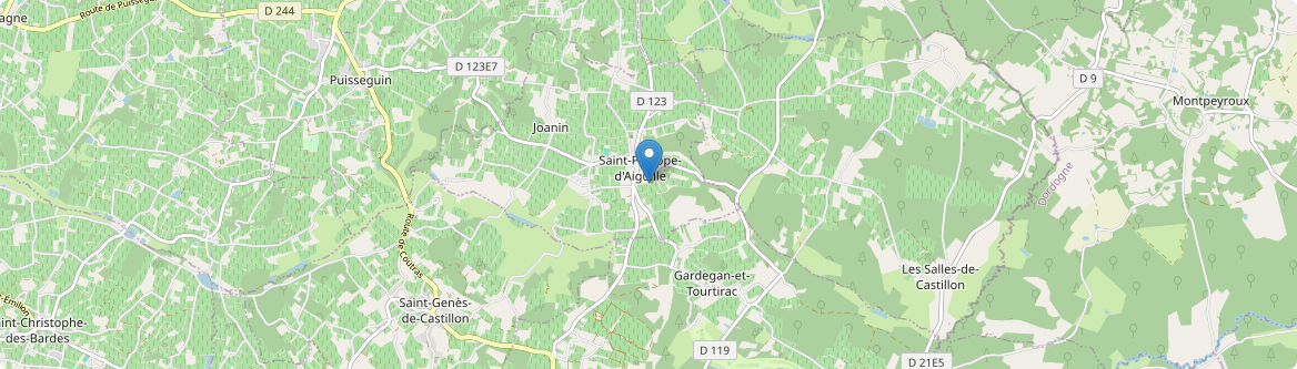 Salles-de-Castillon - Carte