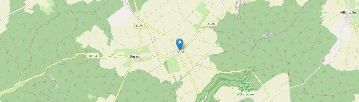 Leurville - Carte