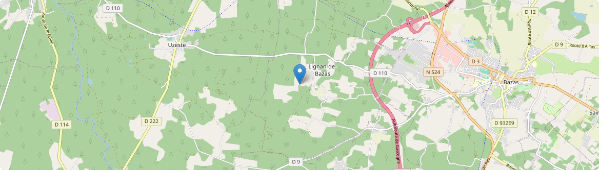 Lignan-de-Bazas - Carte