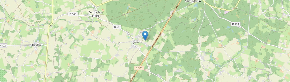 Ligron - Carte