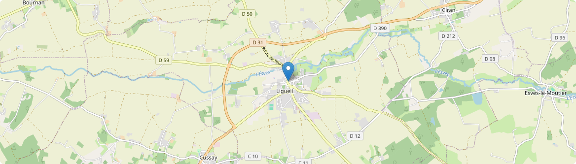 Ligueil - Carte
