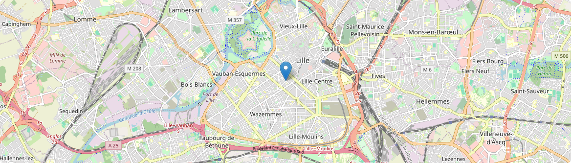 Lille - Carte
