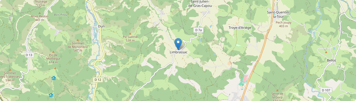 Limbrassac - Carte