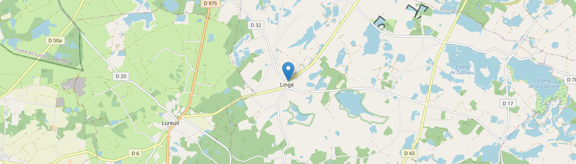 Lingé - Carte