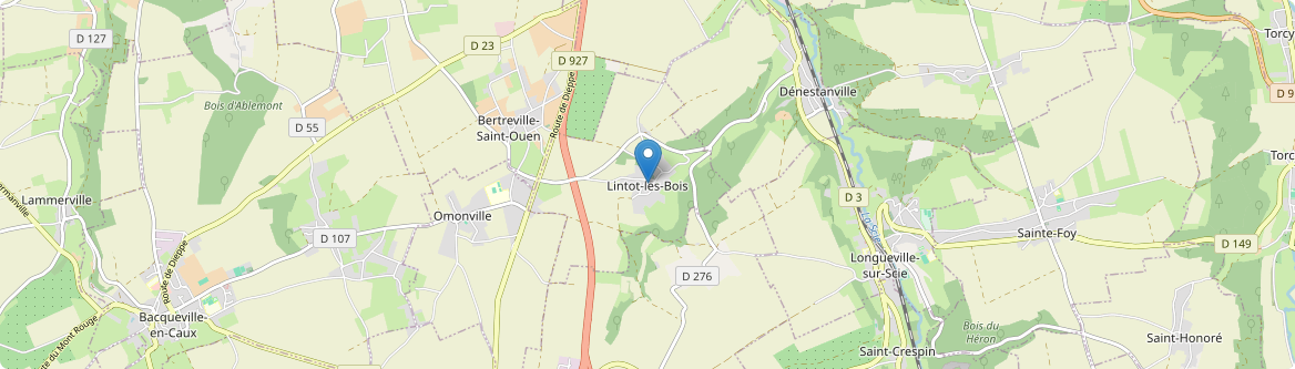 Lintot-les-Bois - Carte